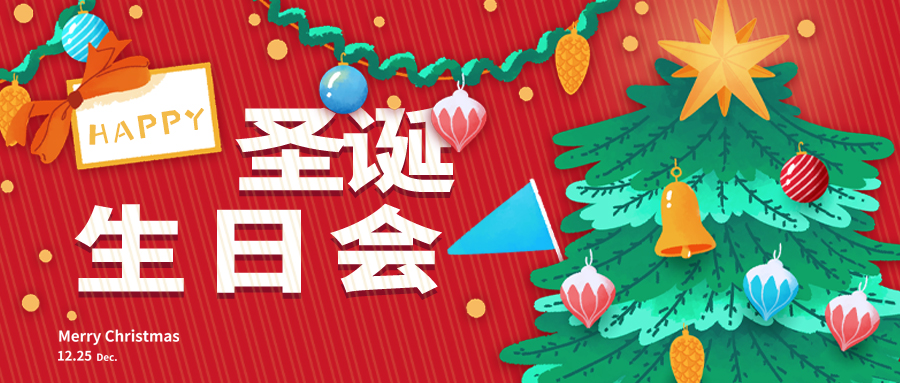 圣诞生日会