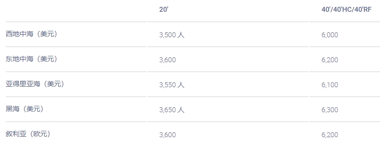 亚洲至地中海地区的集装箱运费FAK将上调