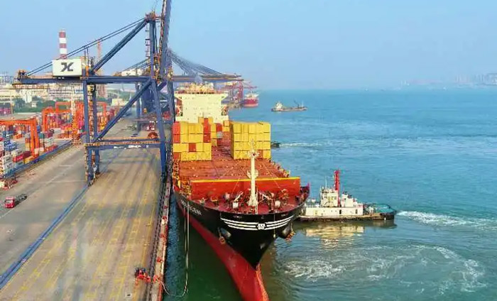 MSC Australia New Zealand Line WALLABY first flight arrived at Xiamen port